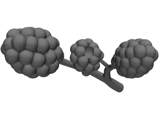 Alveoli 3D Model preview