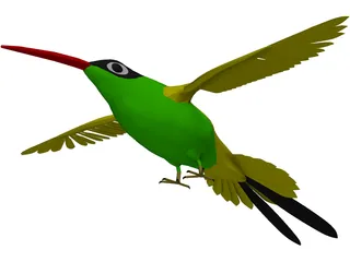 Hummingbird 3D Model preview