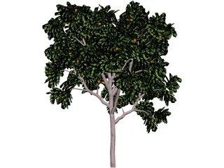 Zitronenbaum 3D Model preview