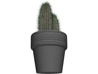 Cactus 3D Model preview