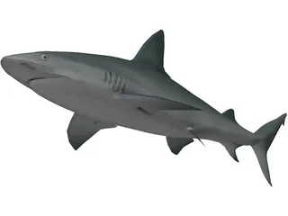 Sandbar Shark 3D Model preview