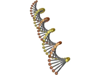 DNA Model 3D Model preview