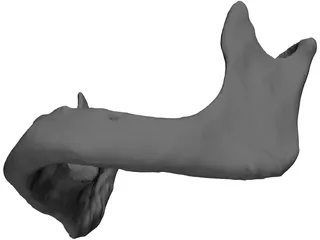 Edentulous Jaw 3D Model preview