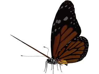 Butterfly 3D Model preview