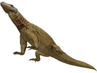 Komodo Dragon 3D Model preview