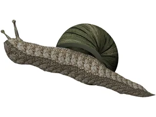 Snail 3D Model preview