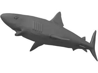 Shark Great White 3D Model preview