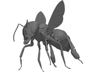 Bee 3D Model preview