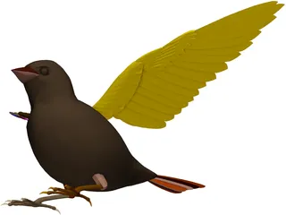 Sparrow 3D Model preview