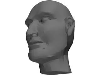 Head Male 3D Model preview