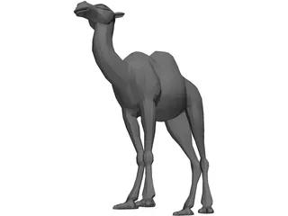 Camel 3D Model preview