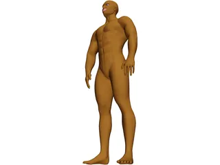 Muscle Man 3D Model preview