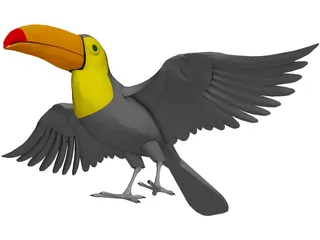 Toucan 3D Model preview