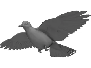 Dove 3D Model preview