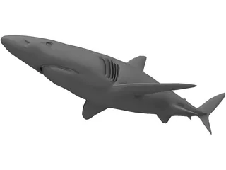Blue Shark 3D Model preview