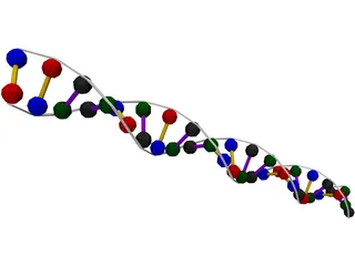DNA Strand 3D Model preview