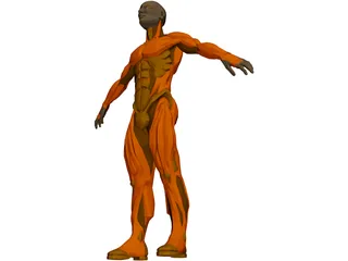 Muscle Man 3D Model preview