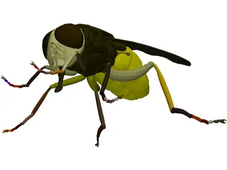 Fly 3D Model preview