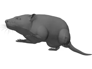 Rat 3D Model preview