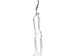 Veins and Arteries Lower 3D Model preview