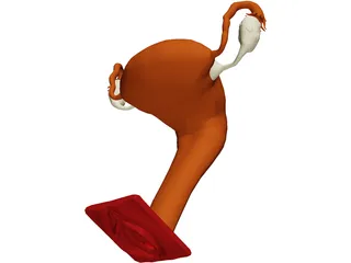 Reproductive System Female 3D Model preview