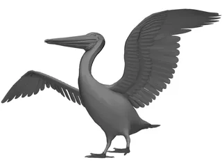 Pelican 3D Model preview