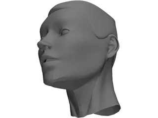 Head 3D Model preview