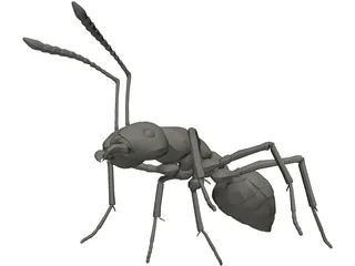 Ant 3D Model preview