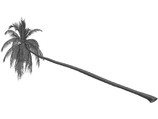 Cocos Nucifera 3D Model preview