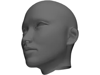 Woman Head 3D Model preview