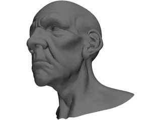 Man Head Old 3D Model preview