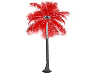 Palm Tree 3D Model preview