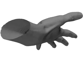 Open Hand 3D Model preview