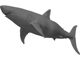 White Shark 3D Model preview