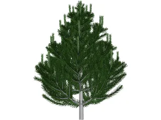 Pinito 3D Model preview