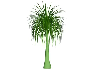 Palmera 3D Model preview