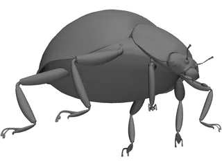 Ladybug 3D Model preview