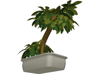 Small Tree 3D Model preview