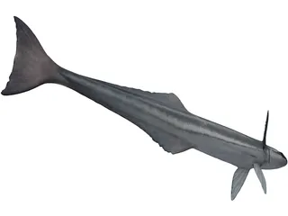 Remora 3D Model preview