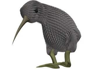 Kiwi Bird 3D Model preview