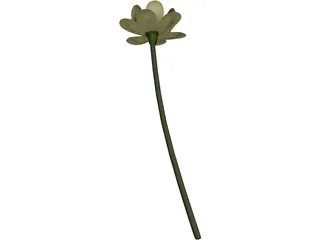 Lotus Flower (Nelumbo Lutea) 3D Model preview