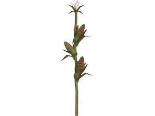 Corn Stalk 3D Model preview