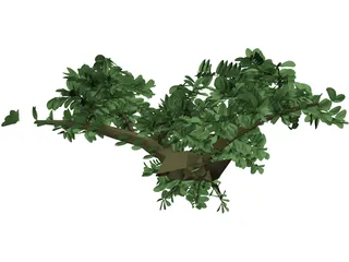 Tree 3D Model preview