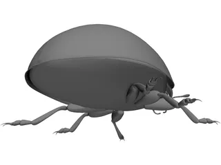 Ladybird 3D Model preview