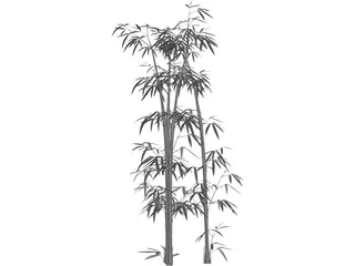 Bamboo Grove 3D Model preview