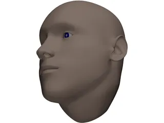 Human Head 3D Model preview