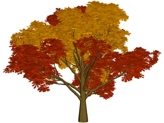 Chestnut Tree 3D Model preview
