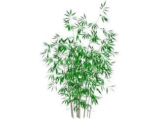 Bamboo 3D Model preview
