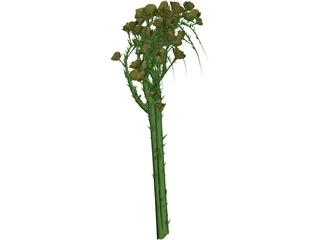 Rose Flower 3D Model preview