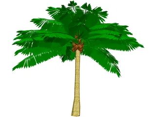 Palm Tree 3D Model preview